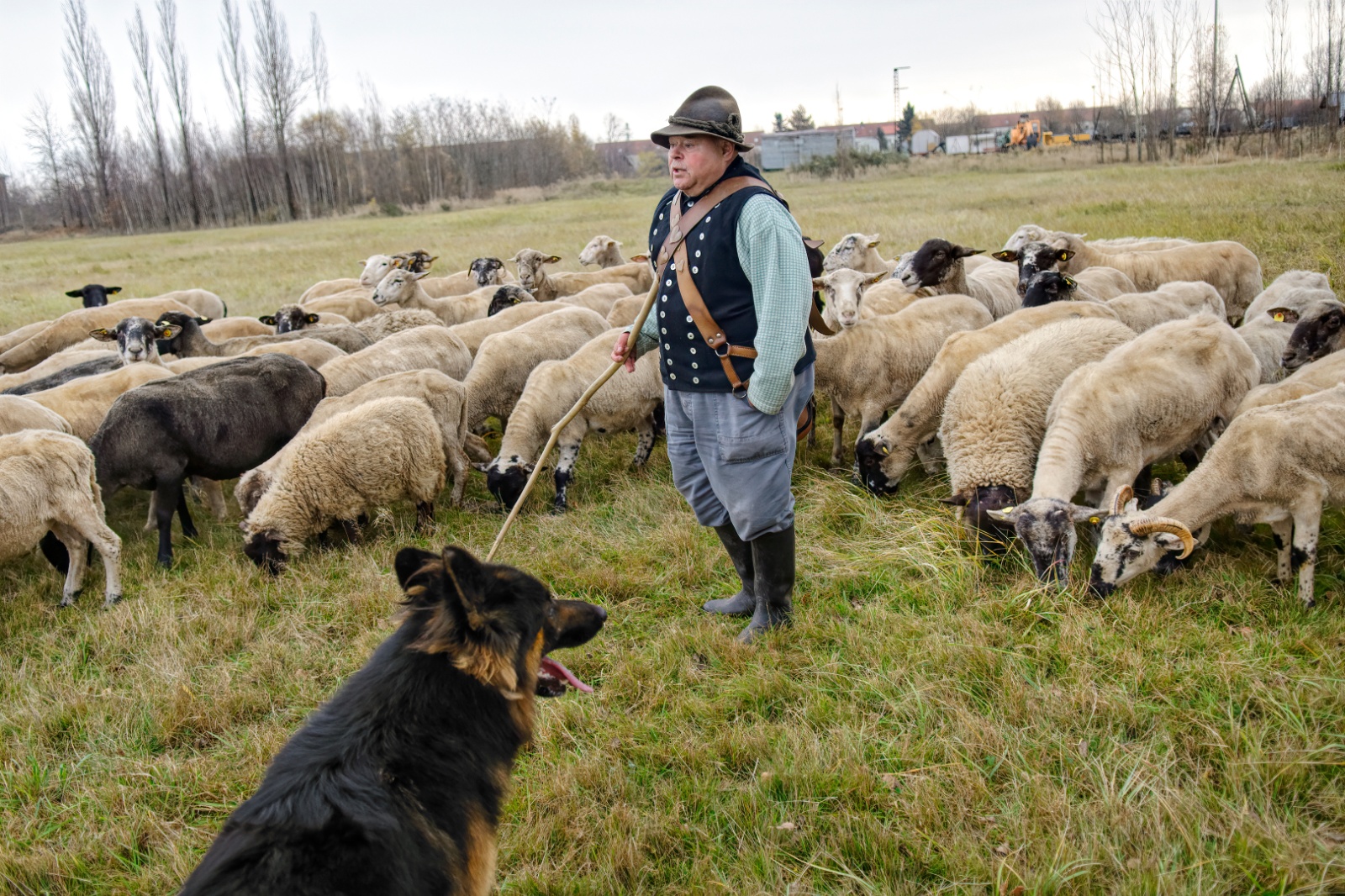 Frank Domigalle, Görlitz 2014
